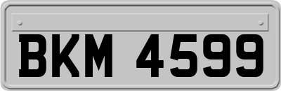 BKM4599
