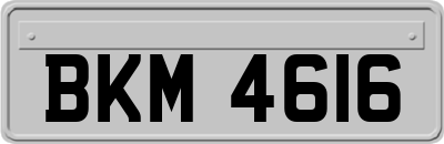 BKM4616