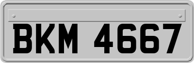 BKM4667