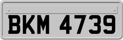 BKM4739