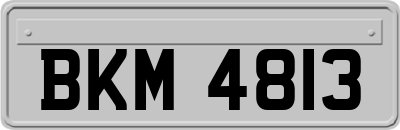 BKM4813