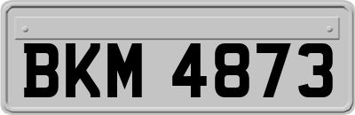 BKM4873