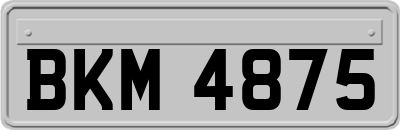 BKM4875