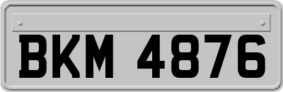BKM4876