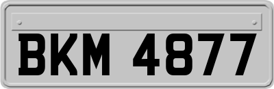 BKM4877