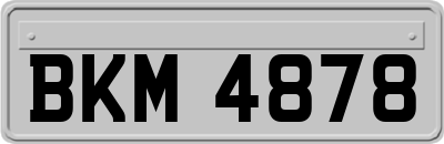 BKM4878