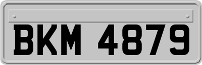 BKM4879