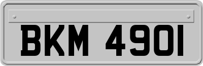 BKM4901