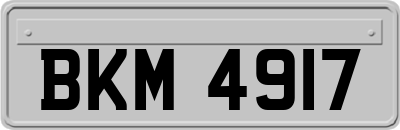BKM4917
