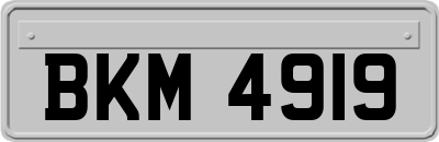 BKM4919