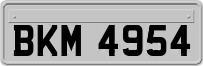 BKM4954