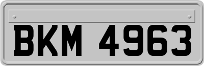 BKM4963