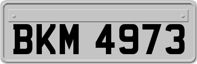 BKM4973