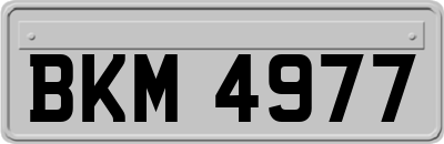 BKM4977