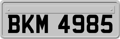 BKM4985