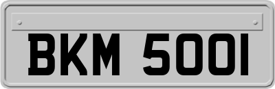 BKM5001