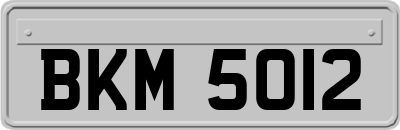 BKM5012