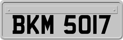BKM5017