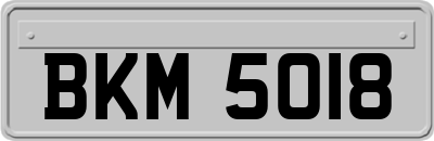 BKM5018