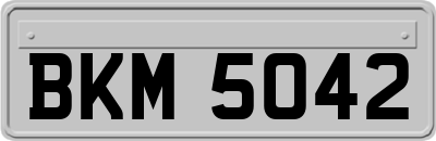 BKM5042