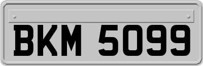 BKM5099