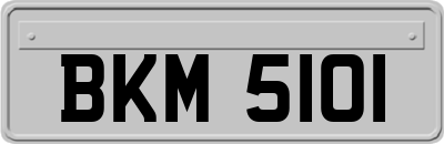 BKM5101