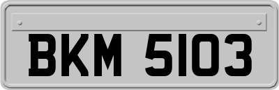BKM5103