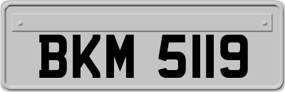 BKM5119