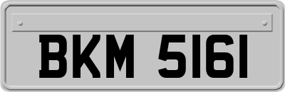 BKM5161