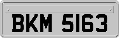 BKM5163
