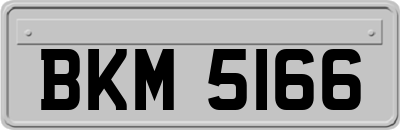 BKM5166