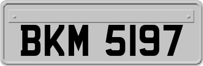 BKM5197