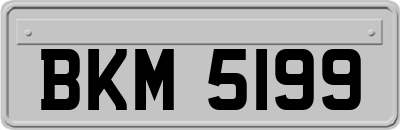 BKM5199
