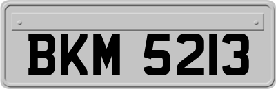 BKM5213