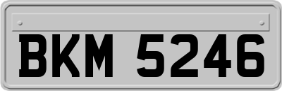 BKM5246