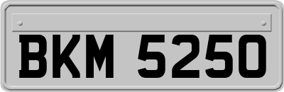 BKM5250