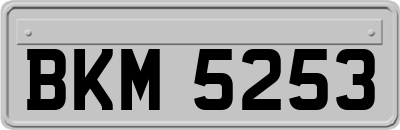 BKM5253