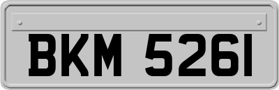 BKM5261