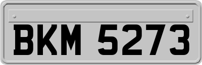 BKM5273