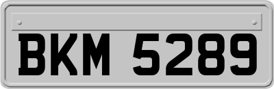 BKM5289