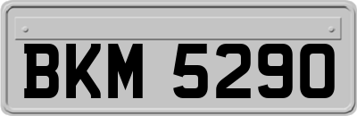 BKM5290