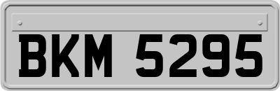 BKM5295
