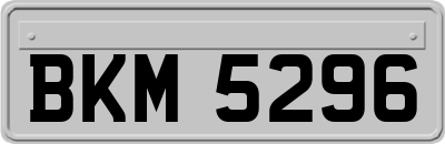 BKM5296