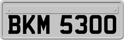 BKM5300