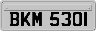 BKM5301