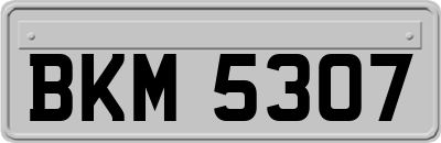 BKM5307