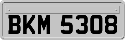 BKM5308