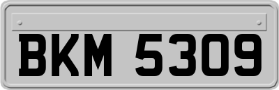 BKM5309