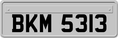 BKM5313