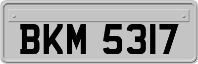 BKM5317